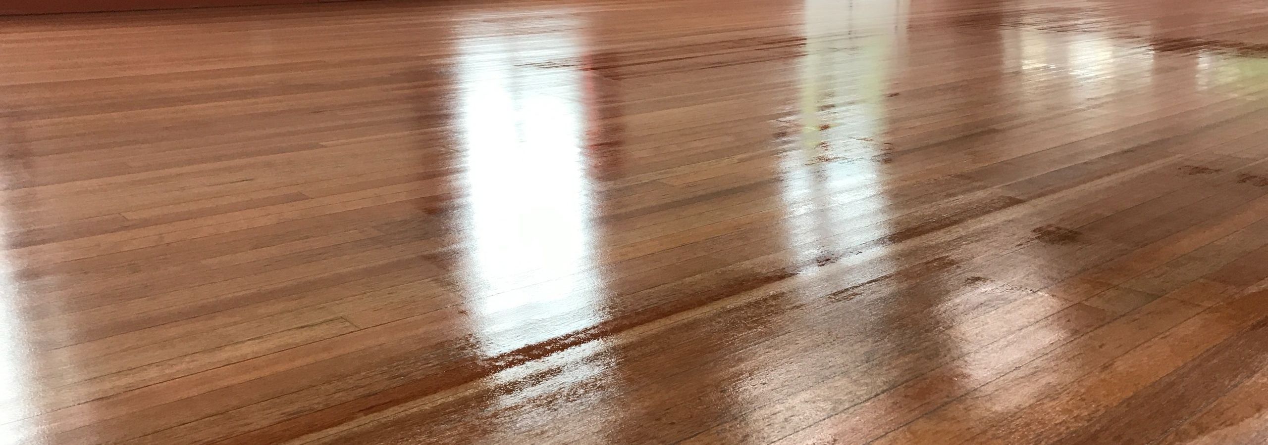 IMG_2387.jpeg